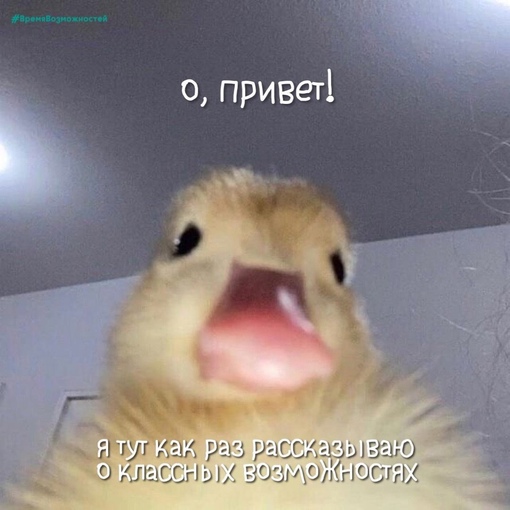 Диктуем рецепт насыщенного лета: #ВремяВозможностей + твоя решимость! Теперь выберем классное мероприятие для тебя…